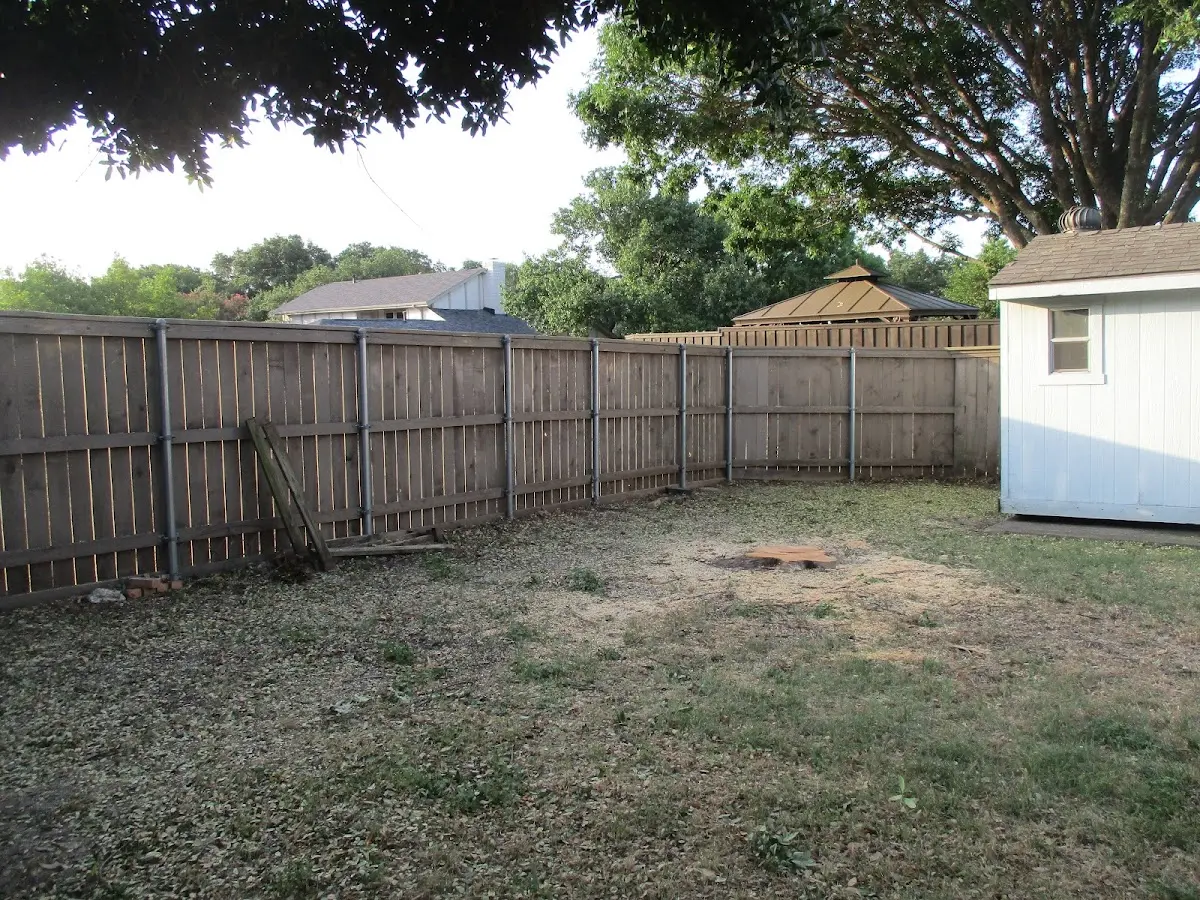 Cleared yard after professional tree removal in Manorville